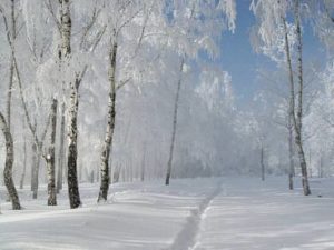 С Новым Годом!!!