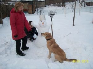 Собакам