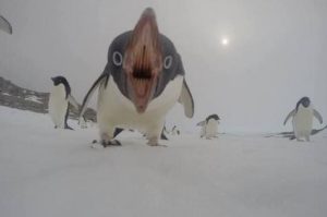 Я потею