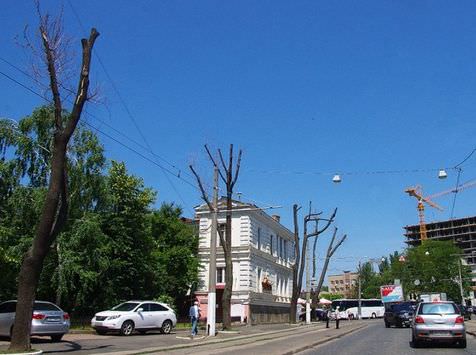 Odessa1