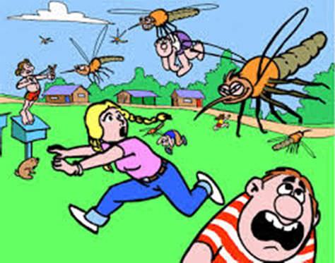 MOSQUITOS11