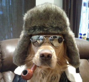 Кто придумал холода?