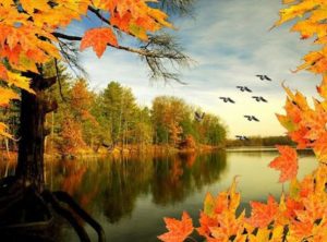 Прелестные последние строчки