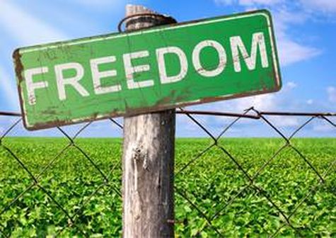 Freedom