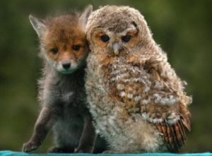 Помириться с собой