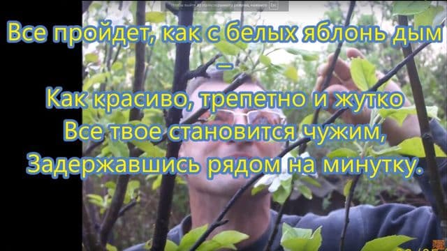 С белых яблонь дым