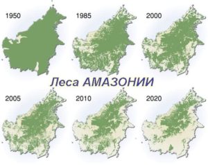 Злые причуды природы