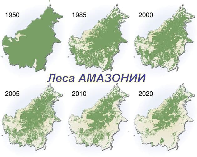 Злые причуды природы