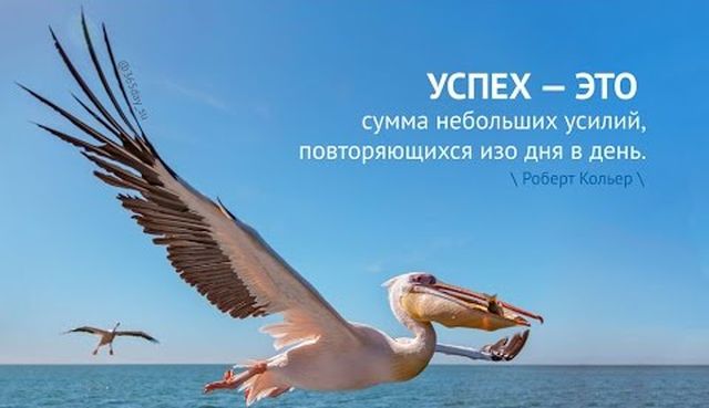 добиваться успеха
